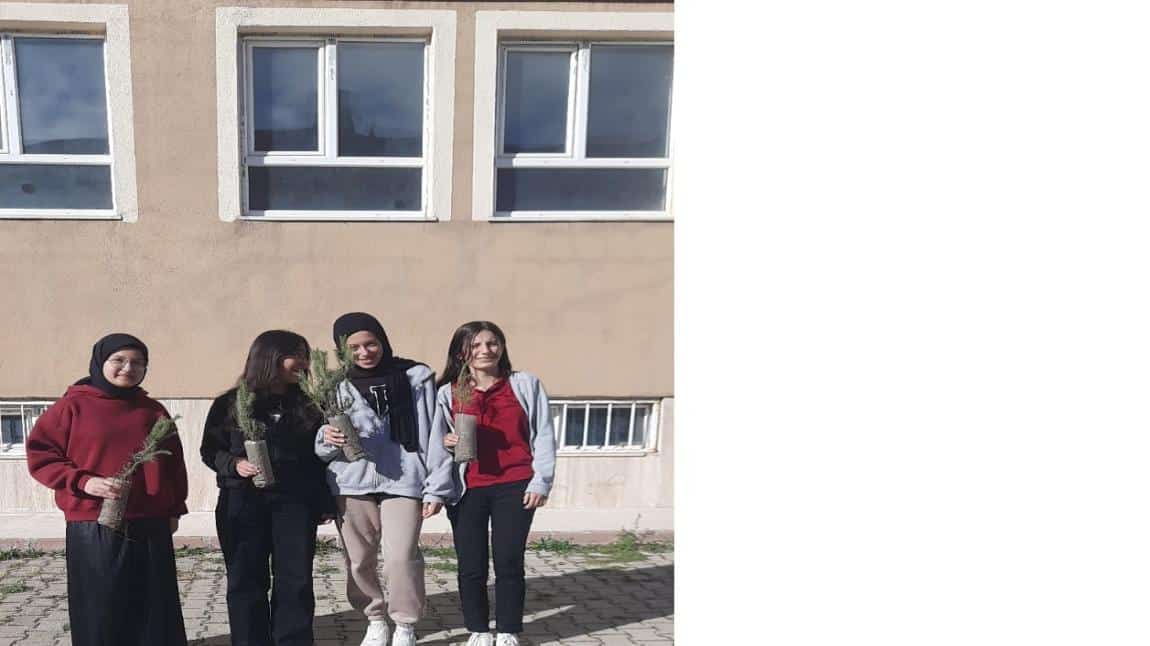 Yeşil Vatan Tohum Torak